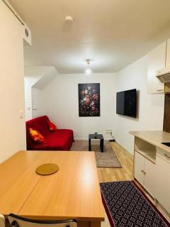 Appart T3 centre ville Castres - 3