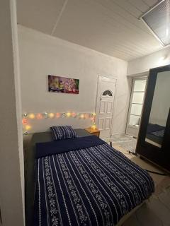 Appart T3 centre ville Castres - Castres - 1