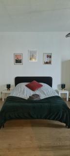 Studio KAAN avec terasse 5mn Basel Airport - Saint-Louis - 9