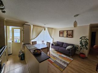 Apartamento full equipado - Temuco - 9