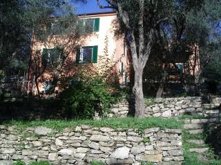 CHARMING APARTMENT VILLA with POOL - Rapallo - 2