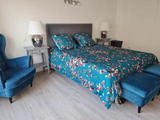 24H du Mans - Hyper centre - appartement lumineux 180 m2 - 4 chambres - 2 SDB - Le Mans - 1