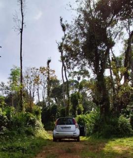 Coorg Homestays Madikeri - Madikeri - 8