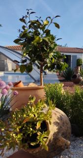 Claire & Co Chambre d'hôtes - 4