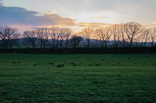 Casale del Rosmarino - Monolocale Melograno - 4