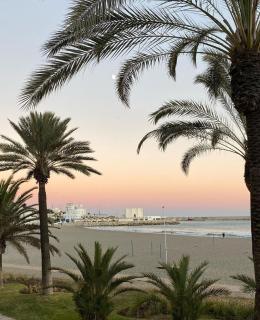 Tamarindo 5 - Benalmádena - 6