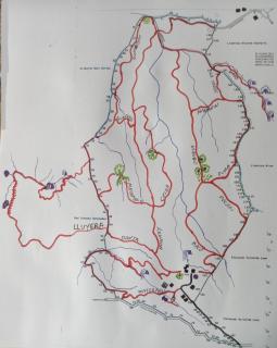 Finca Sueno de Osa - 9