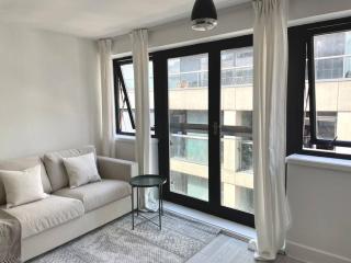 6 bedroom in a 3 apartment building complex, great for large group bookings, central London location - 6