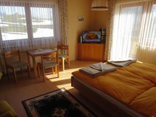 Landhaus Dickhardt - Schladming - 8