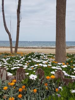 Holiday Apartment with Sea View (0002913) - Paralimni - 1