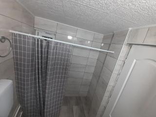 Guest House Vila Banjica - Pirot - 1