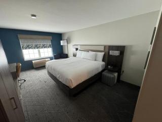 Holiday Inn Express & Suites Port Washington by IHG - Port Washington - 5