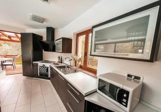 Olive garden family apartment with private pool - Sežana (Sesana) - 7