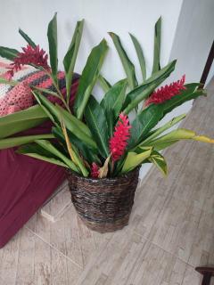 Pousadinha Ateliê da Maite - Paraty - 7