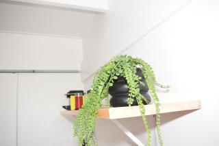 House on Pringle - Kapstadt - 5