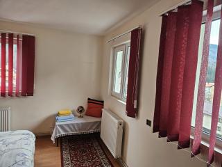 Apartament Retro-relax - Sinaia - 7