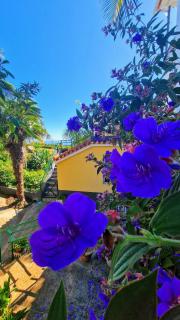 Villa Alta Vista - 2