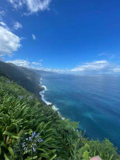 Villa Alta Vista - 1