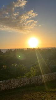 Zuri Enterprise - Negril - 8