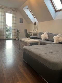 Tara's apartment - Vrhnika - 7