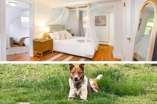 Trail-side Haven Retreat! Pet friendly - North Haven - 0