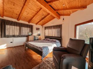 Olive garden family apartment with private pool - Sežana (Sesana) - 2