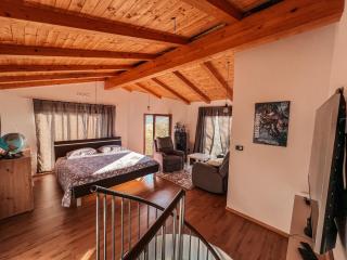 Olive garden family apartment with private pool - Sežana (Sesana) - 1