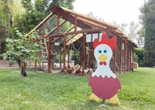 Casa Rural La Laguna - 5