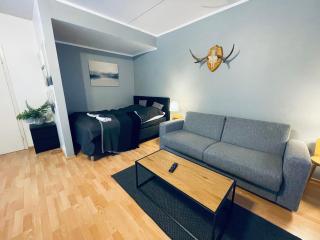 Hotel-standard design apartment with private sauna and terrace - 1