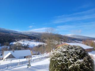 Apartamenty Leśniczówka Salamandra - 0