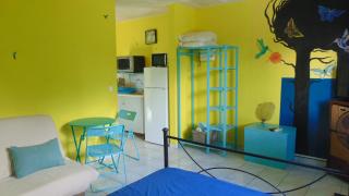 Caribgites - 1