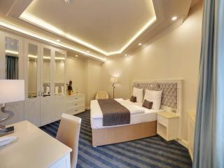 EA Hotel Atlantic Palace - Karlovy Vary - 7