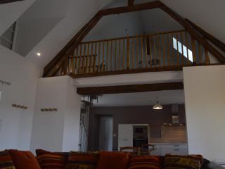 Grande Maison de Campagne avec Jardin Clos, Proche Levroux, 12 Pers., Châteaux, Zoo de Beauval - FR-1-591-176 - Levroux - 5