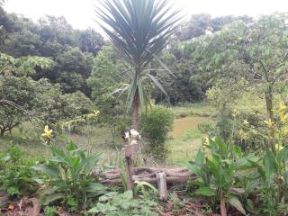 Sítio Vó Leonidia - Turismo Rural - 6