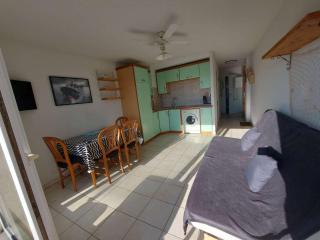 Appartement 2P avec Terrasse Sud, Parking, WIFI et Animaux Acceptés à Marseillan - FR-1-326-797 - Marseillan - 6