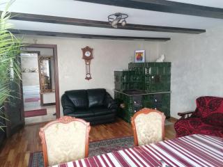 Pensiunea Casa Fierarul din Bucovina - 2