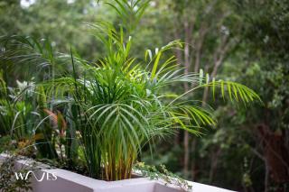 1 Rec. | Amenidades LX | Ubicación Prime - 6