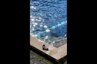 La Pang Resort 라팡리조트 - 2