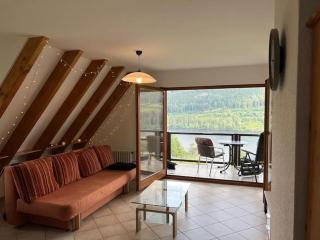 Titisee Traumblick - Hinterzarten - 0
