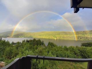 Titisee Traumblick - Hinterzarten - 4