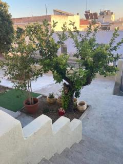 Lemonia - Megara - 1
