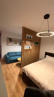 MEB Apartments - Park Lake - Cluj-Napoca - 9
