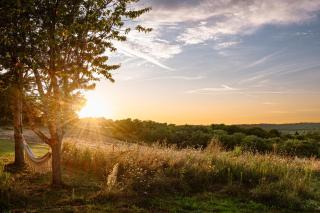 Domaine Villoire - 8