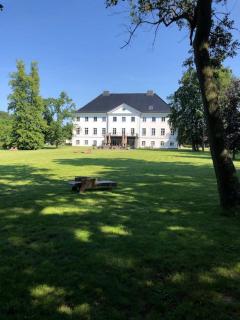 Reetdachhaus Seasons mit Kamin & Sauna - Groß Schwansee - 6