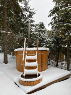 Evergreen Balvanyos - Balvanyos - 5
