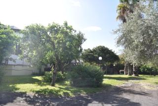 Casa dell'Eucalyptus - Acireale - 0