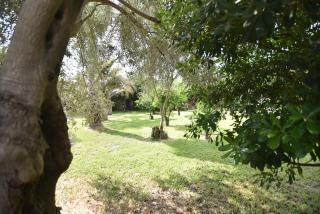 Casa dell'Eucalyptus - Acireale - 8