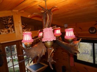 B&B Le bruissement - Bièvre - 1