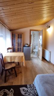 Mountain House - Ustrzyki Dolne - 5
