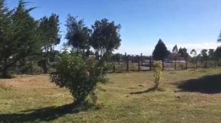 Refugio de la naturaleza, Pieza para 2 personas Baño privado - Puerto Montt - 2